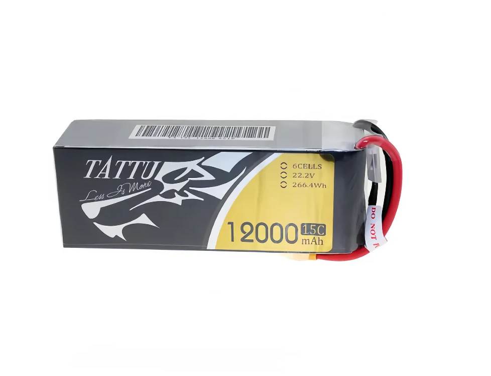 ACE TATTU LiPo 6S 35C 10000mAh - Tattu 6S 22000Mah Lipo Battery recensione e prezzo